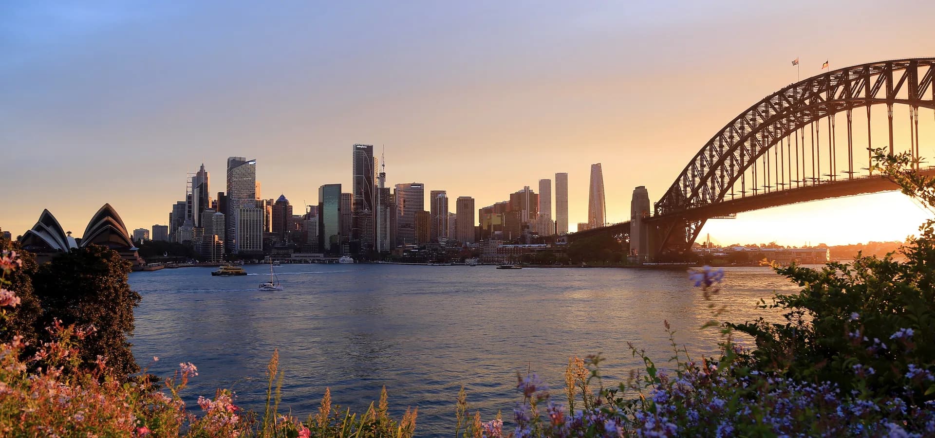 Sydney skyline glowing at sunset across the harbor, the Harbour Bridge arch on the right and flowers in front