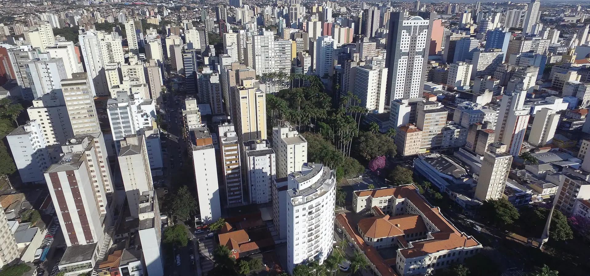 Luftbild der Innenstadt von Campinas, weiße Hochhäuser bis zum Horizont rund um einen Block hoher Palmen