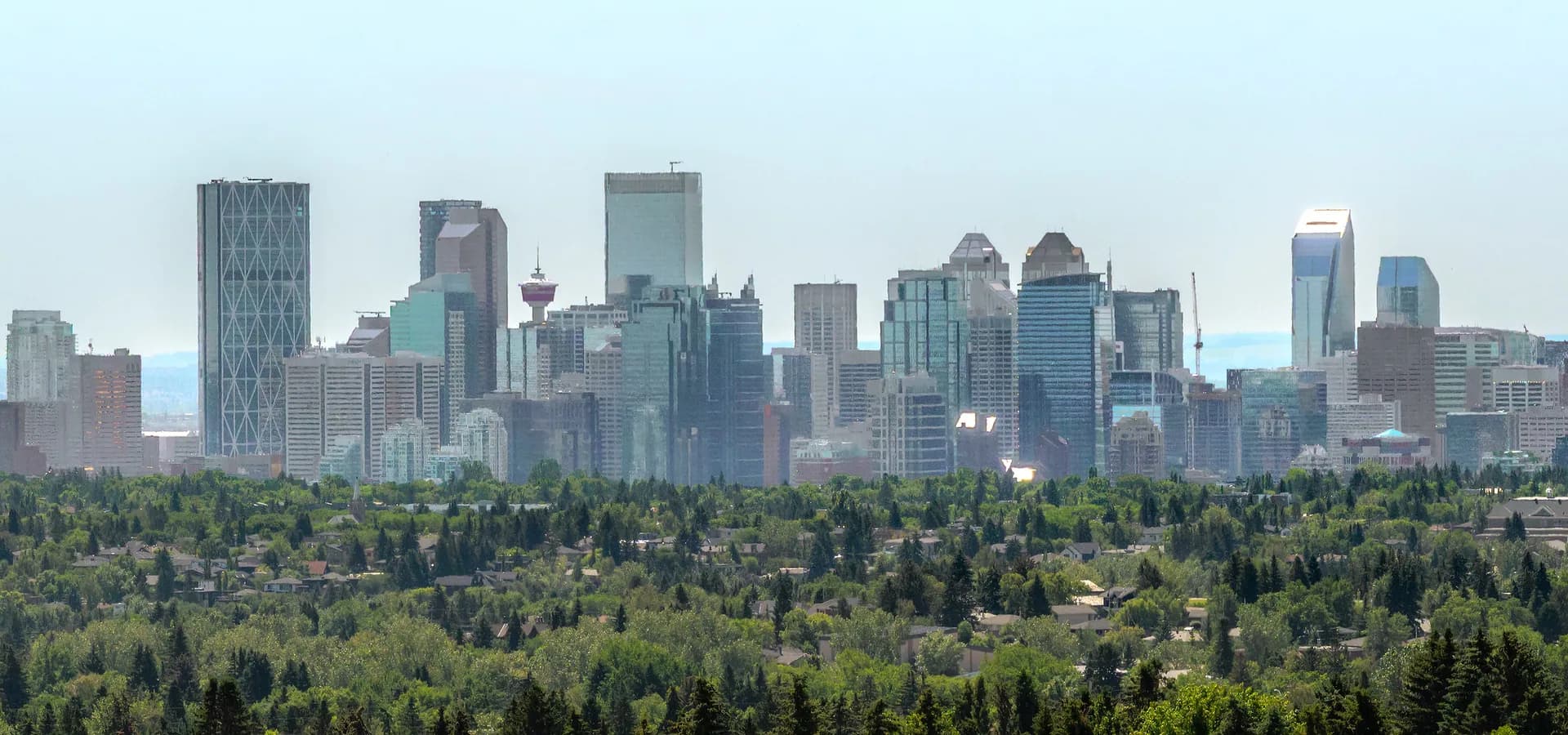 Skyline der Innenstadt von Calgary mit dem Calgary Tower über grünen Baumwipfeln unter blassem Sommerhimmel