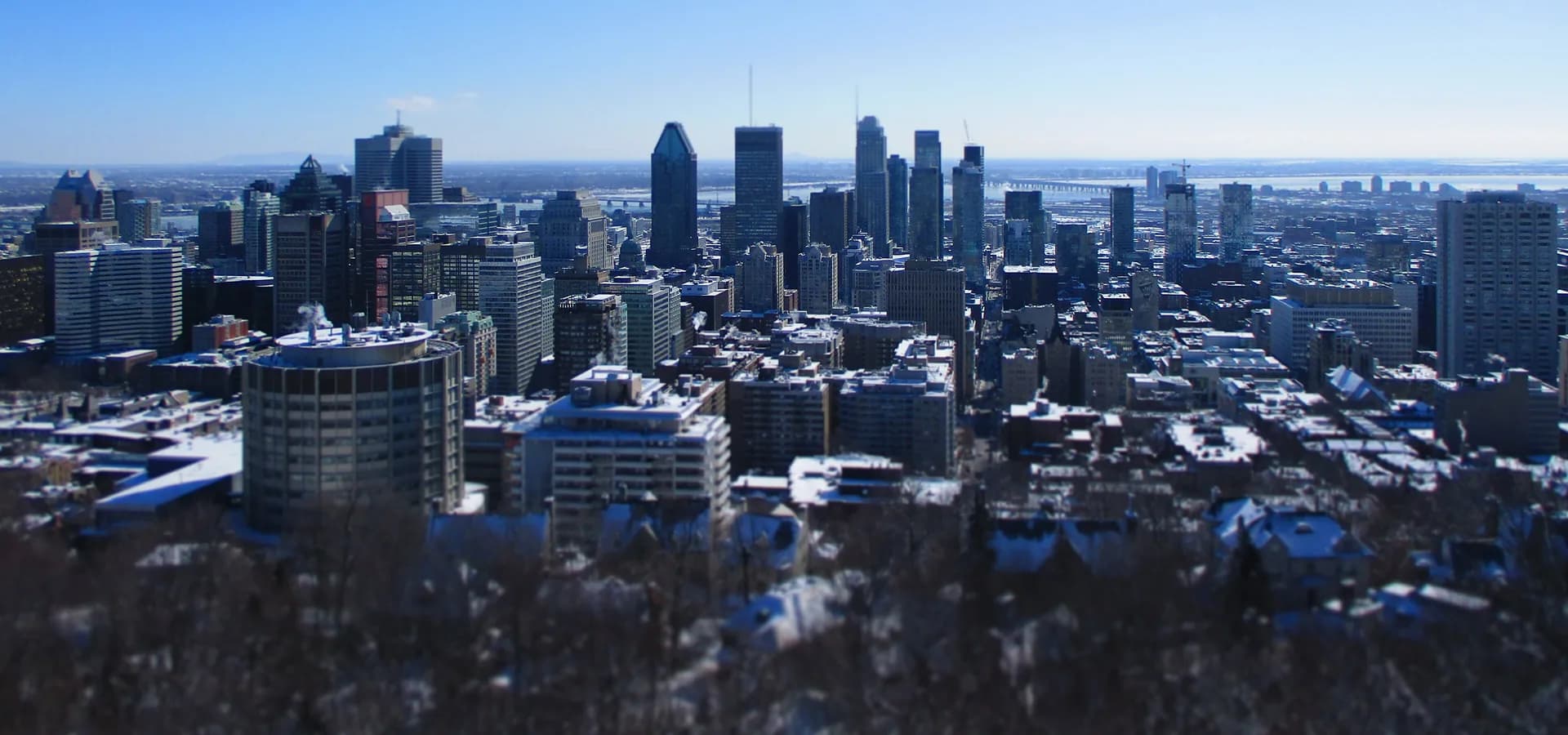 Die Türme der Innenstadt von Montreal, vom Mont Royal aus unter klarem blauem Himmel gesehen, dahinter der Sankt-Lorenz-Strom