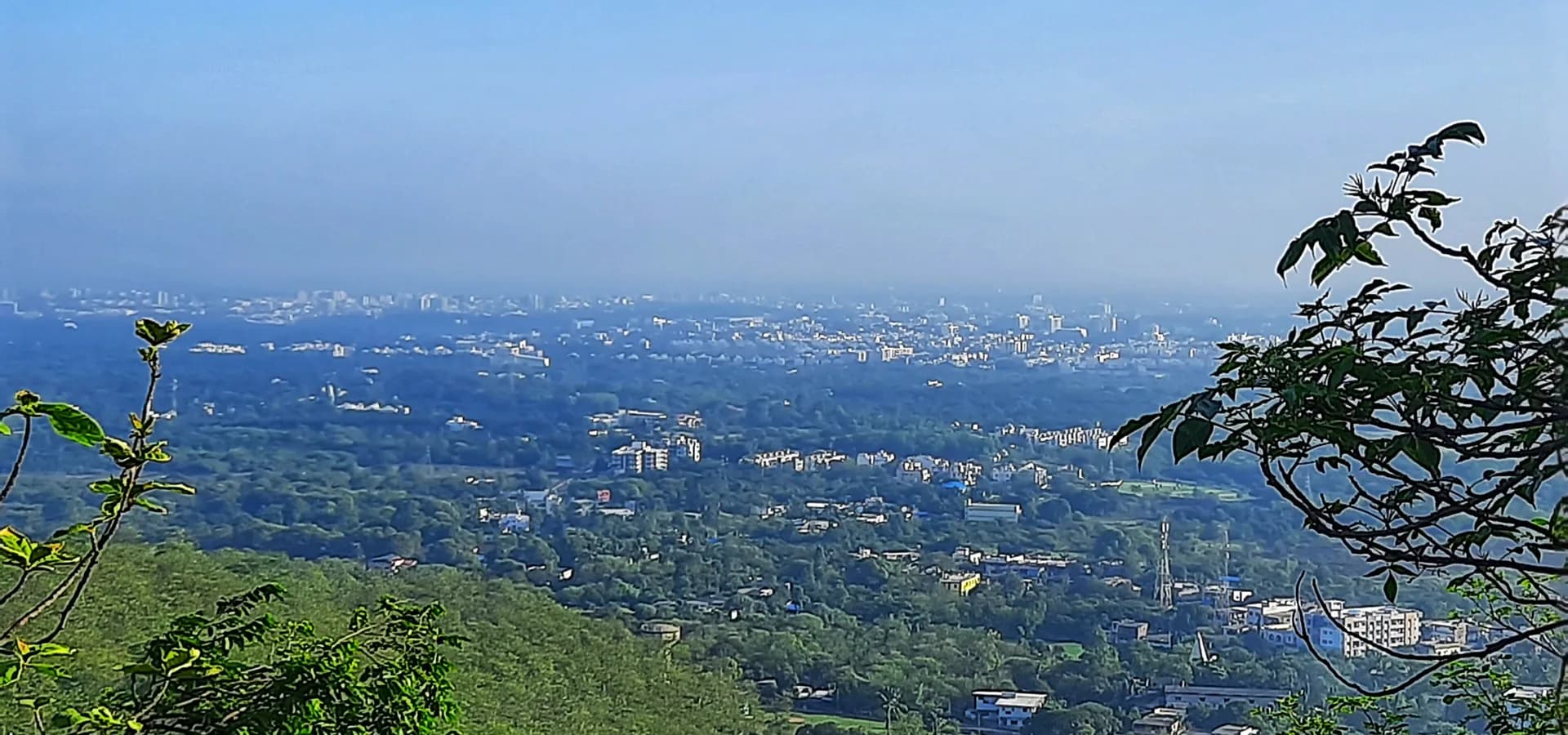 Green treetops and low buildings of Valsad spreading to the horizon, seen from Parnera Hill
