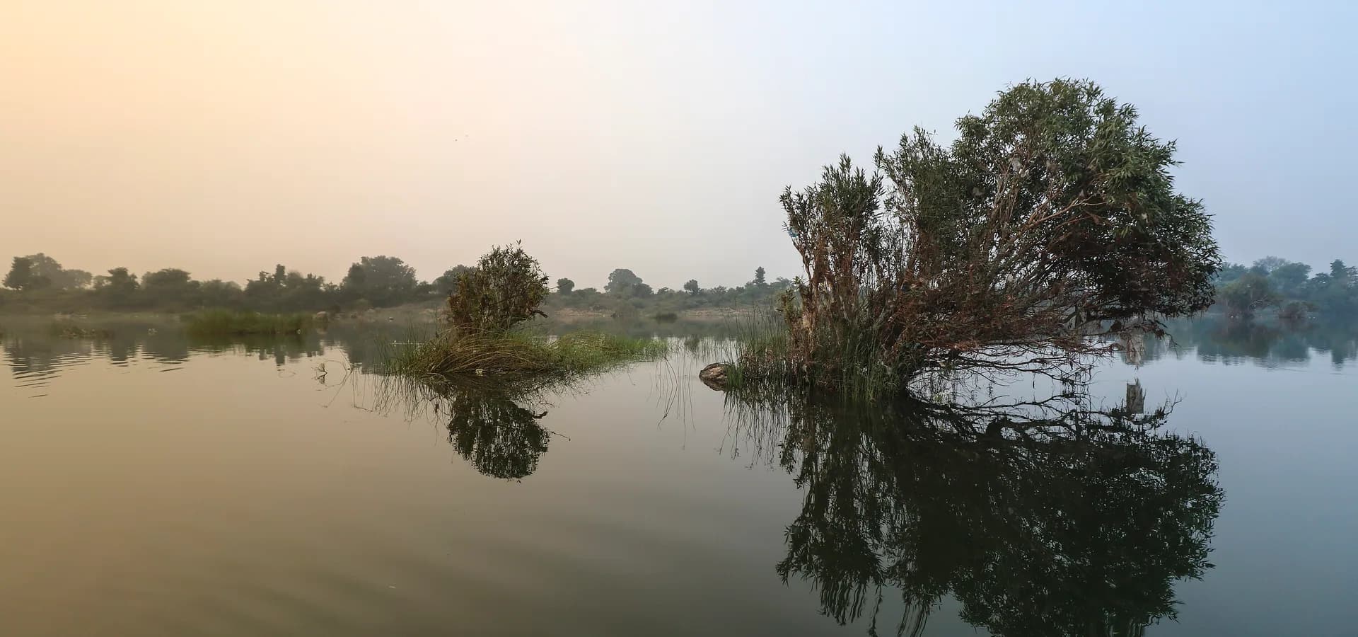 Aguas quietas del río Ken en Bundelkhand que reflejan un árbol frondoso bajo un cielo suave y brumoso
