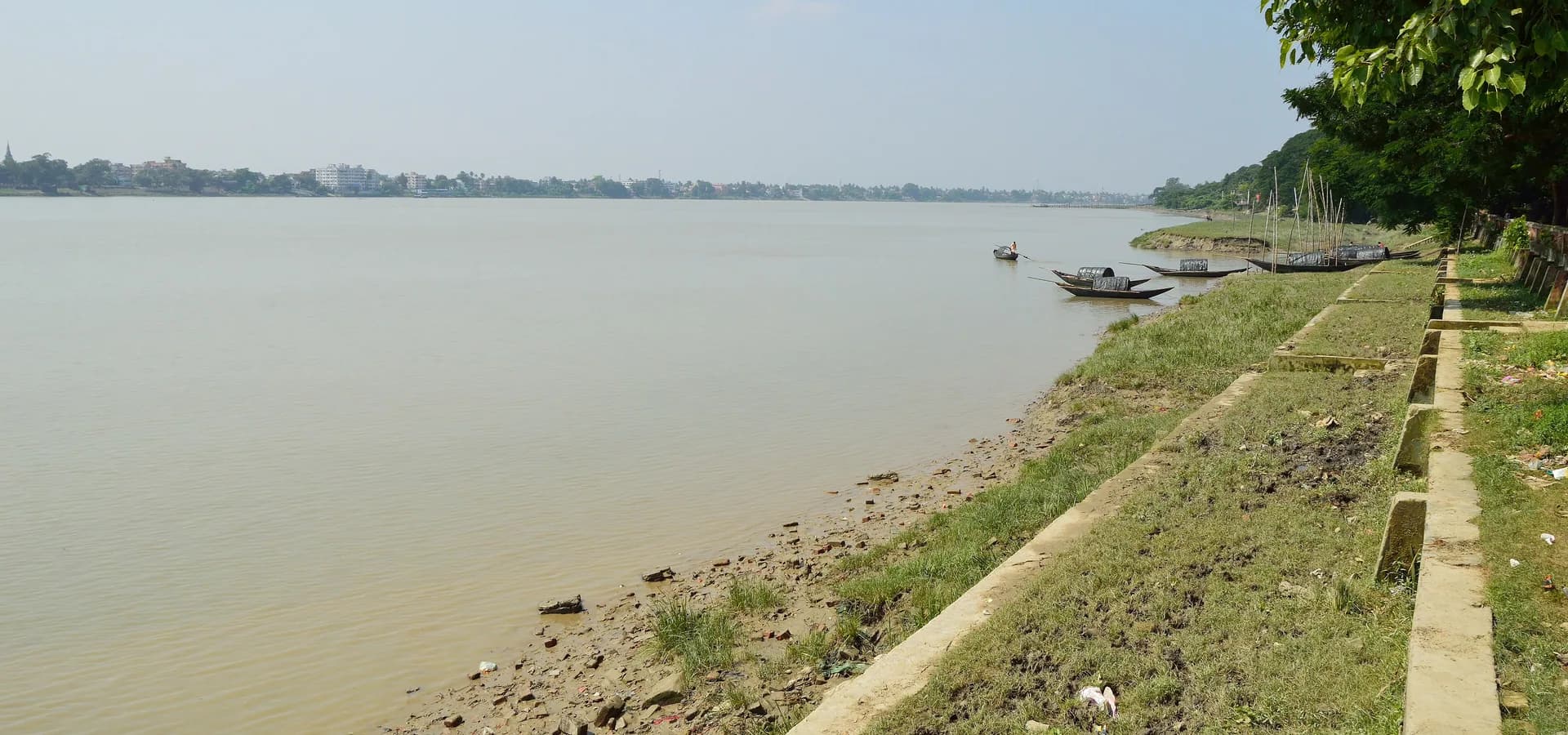 El ancho río Hooghly visto desde Nishan Ghat en Barrackpore, con botes de madera amarrados a una orilla cubierta de hierba