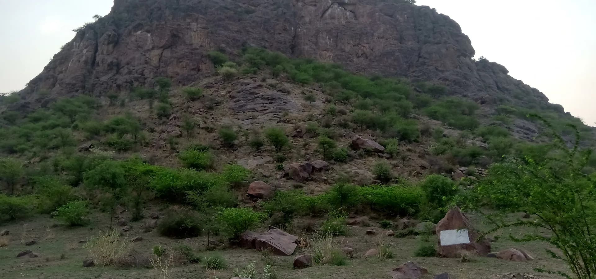 Crista rochosa de Tosham Hill se erguendo sobre mato verde e pedras espalhadas no distrito de Bhiwani, Haryana