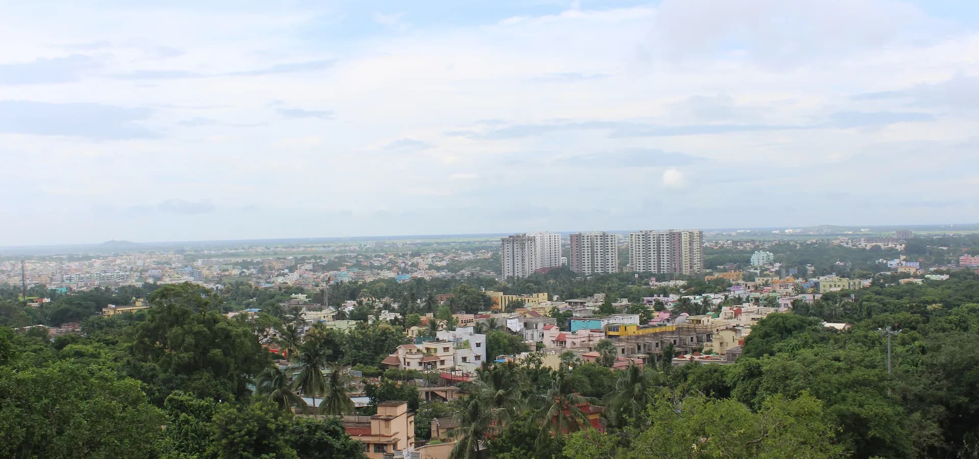 Wide view over leafy Bhubaneswar, with houses, palm trees and apartment towers under a soft cloudy sky