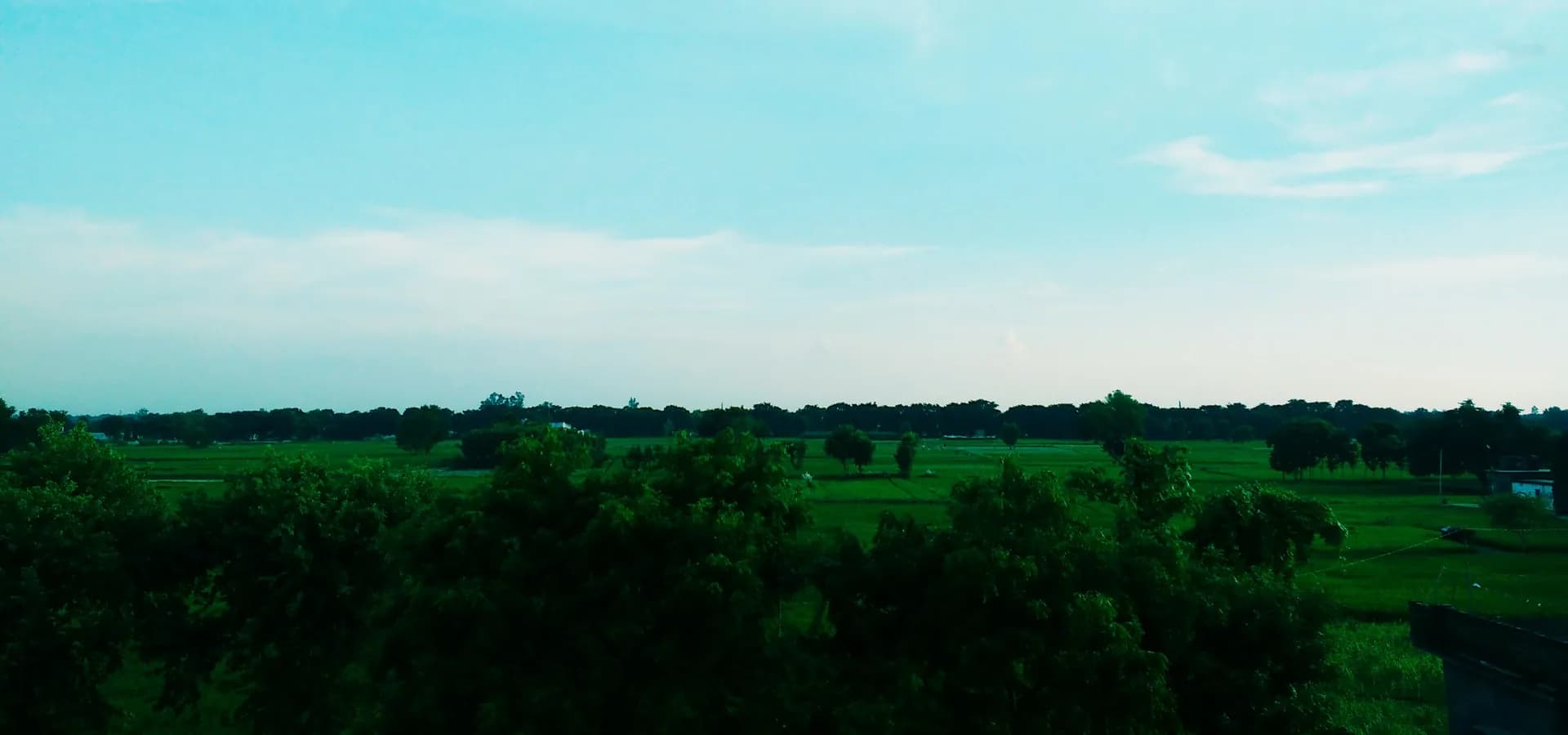 Amplio cielo azul pálido sobre campos verdes planos y filas de árboles en las llanuras de Deoria