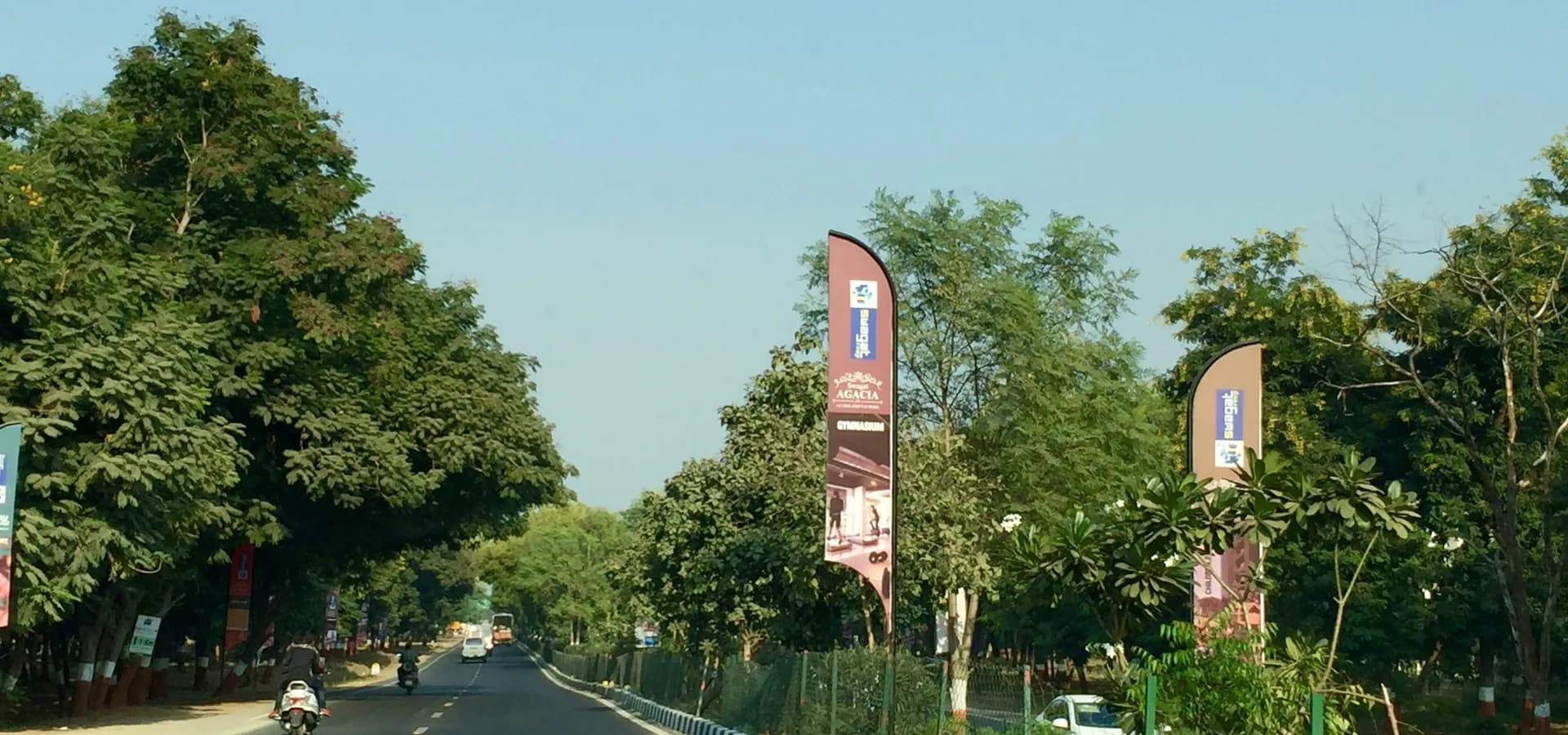 Uma estrada larga e tranquila ladeada de árvores frondosas sob um céu azul limpo em Gandhinagar