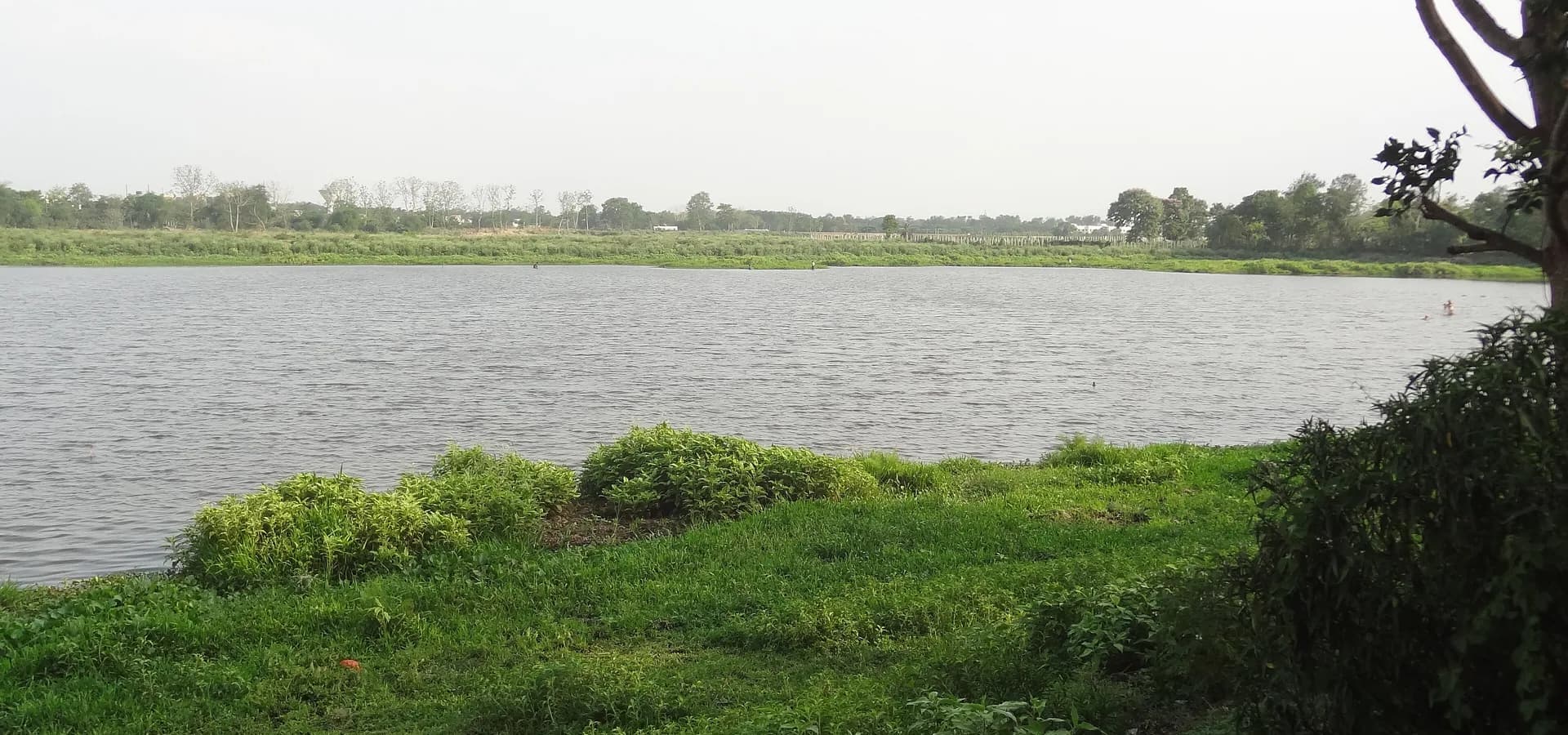 O Lago Kalyani sob um céu pálido, com margens gramadas verdes na frente e uma longa fila de árvores na margem oposta
