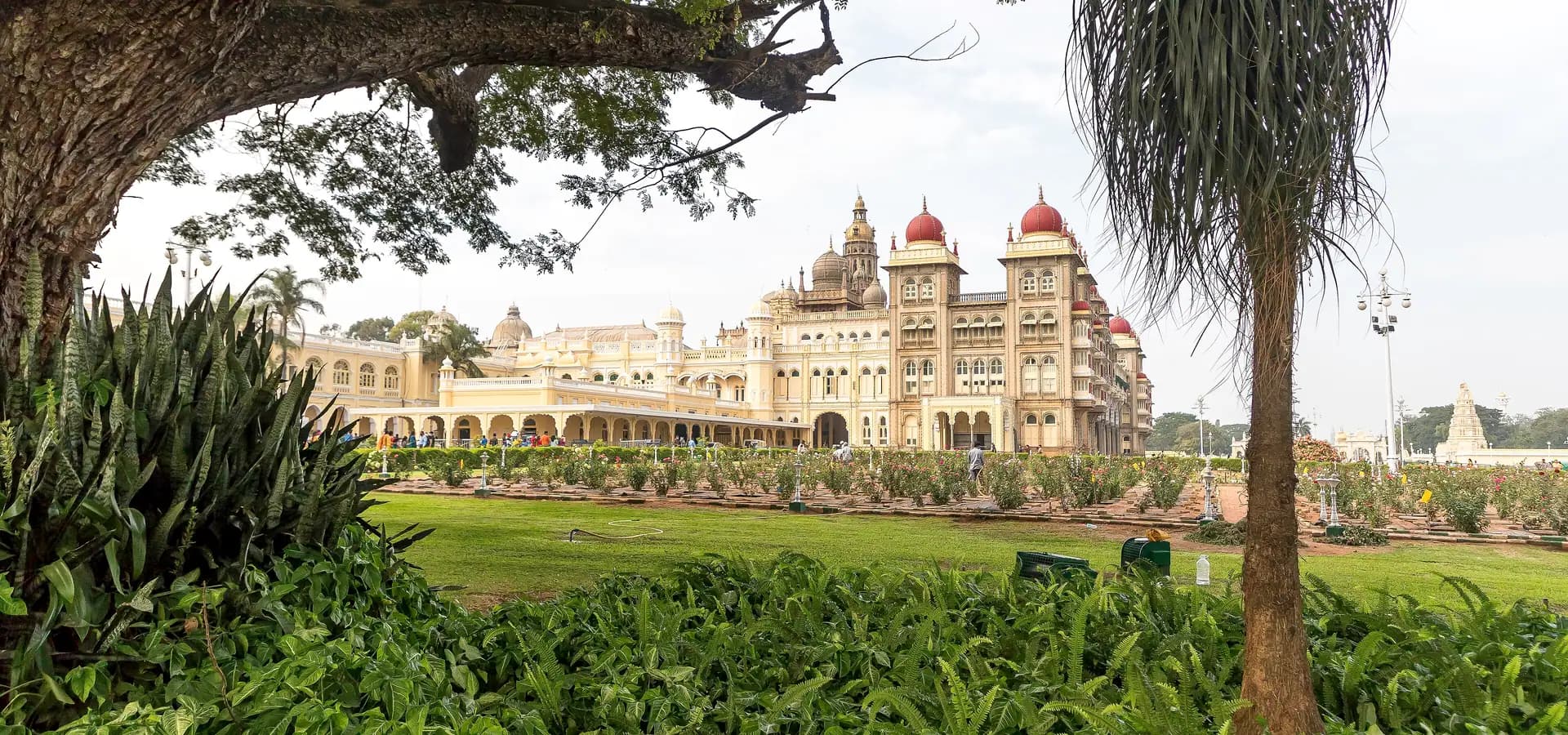 Mysore Palace with red domes and a tall tower rising beyond lawns and rose beds, framed by tree branches