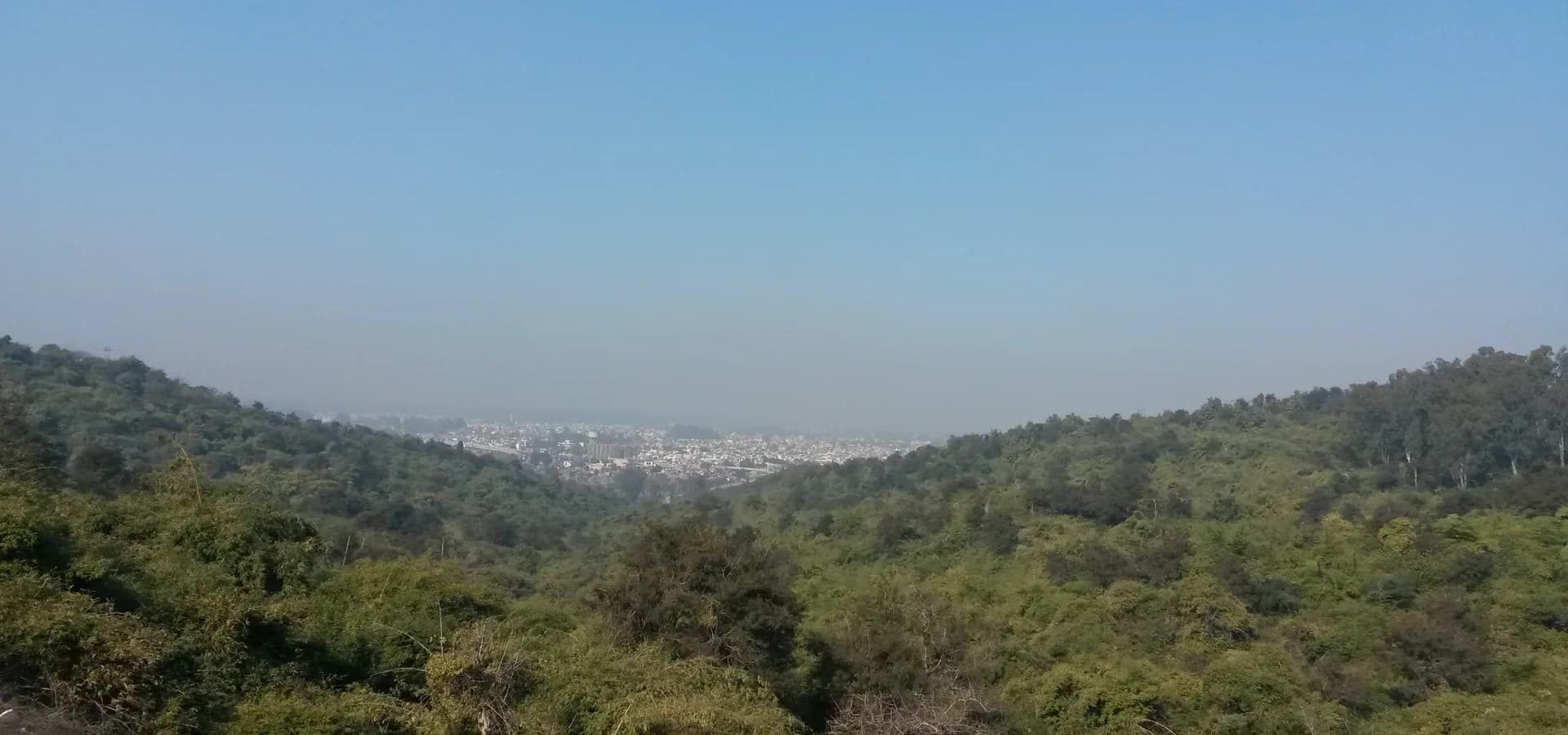 Pathankot extendida sobre la llanura, enmarcada por verdes colinas boscosas Shivalik bajo un amplio cielo azul