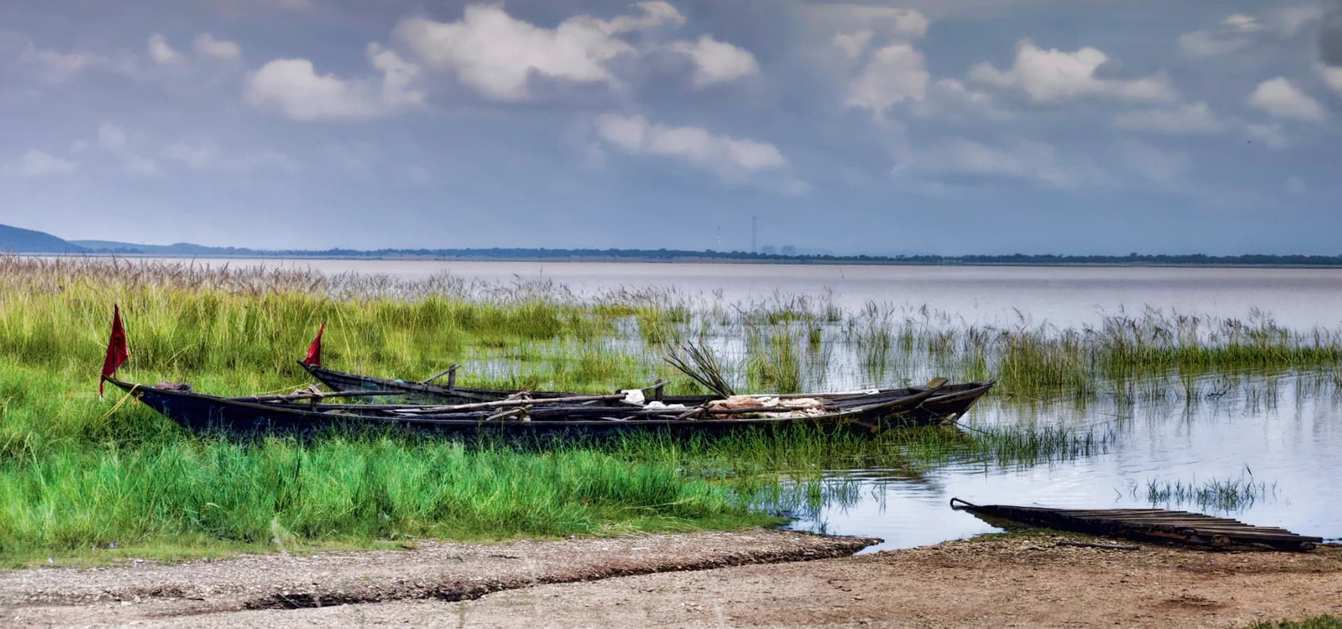 Hölzerne Fischerboote ruhen im grünen Gras am Rand des Hirakud-Stausees, offenes Wasser bis zum Horizont