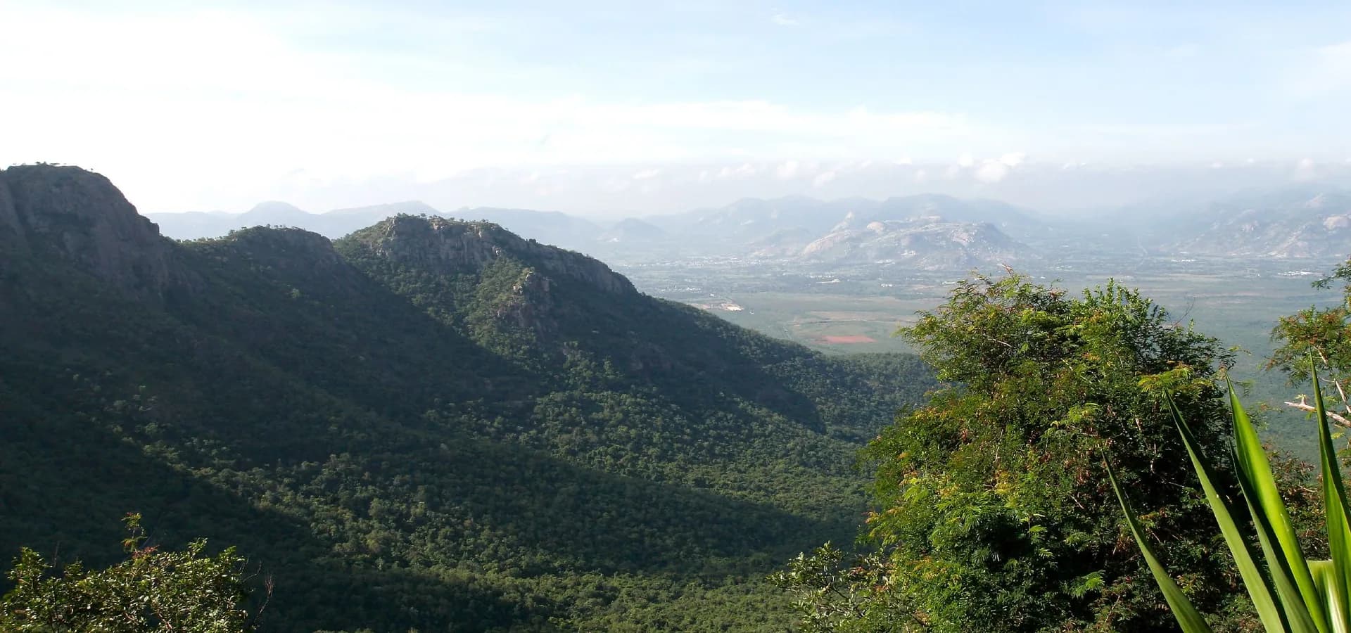 Cumes verdes e arborizados das colinas Seshachalam descendo até uma ampla planície e colinas rochosas ao longe sob um céu pálido