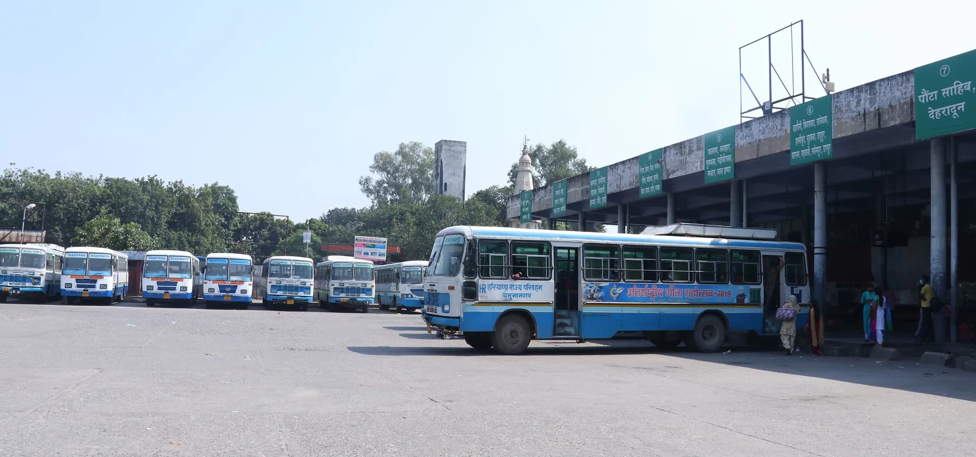 Blau-weiße Busse der Haryana Roadways am Busbahnhof von Yamunanagar an einem sonnigen Tag