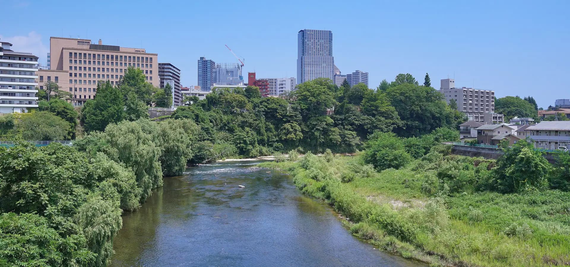 El río Hirose curvándose entre orillas verdes hacia las torres del centro de Sendai bajo un cielo azul despejado