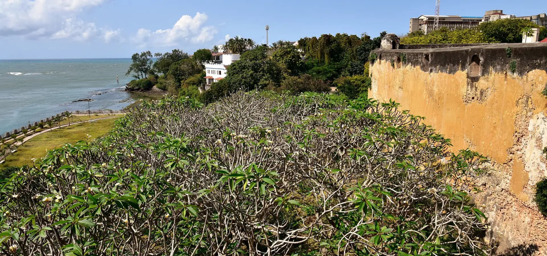 Die ockerfarbene Mauer von Fort Jesus neben Frangipani-Bäumen, dahinter der türkisfarbene Indische Ozean und grünes Ufer