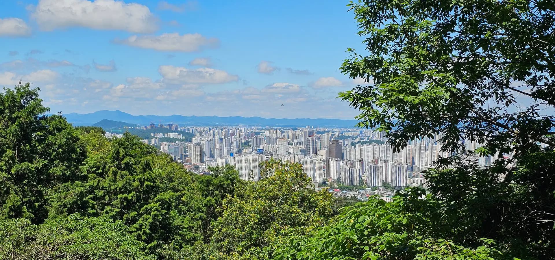 Weiter Blick auf die Hochhausviertel von Gwangju über ein grünes Becken, gerahmt von Bäumen und fernen blauen Hügeln