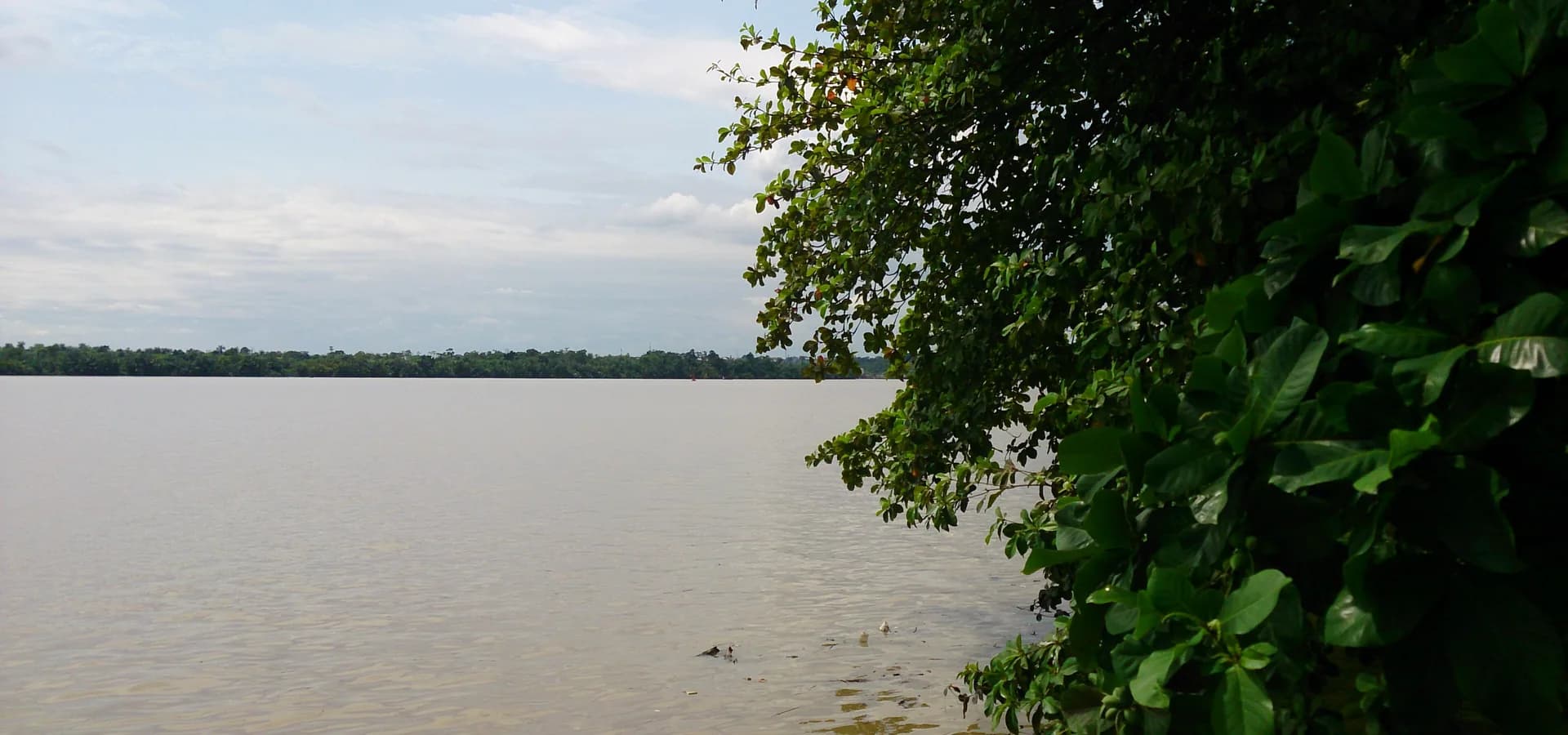 Largo rio Calabar de águas marrons sob um céu pálido, com folhas verdes emoldurando a margem em Duke Town