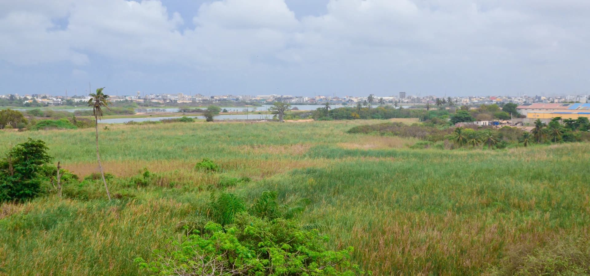 Green reed beds and shallow lakes of the Grande Niaye wetland, with Pikine rooftops along the horizon