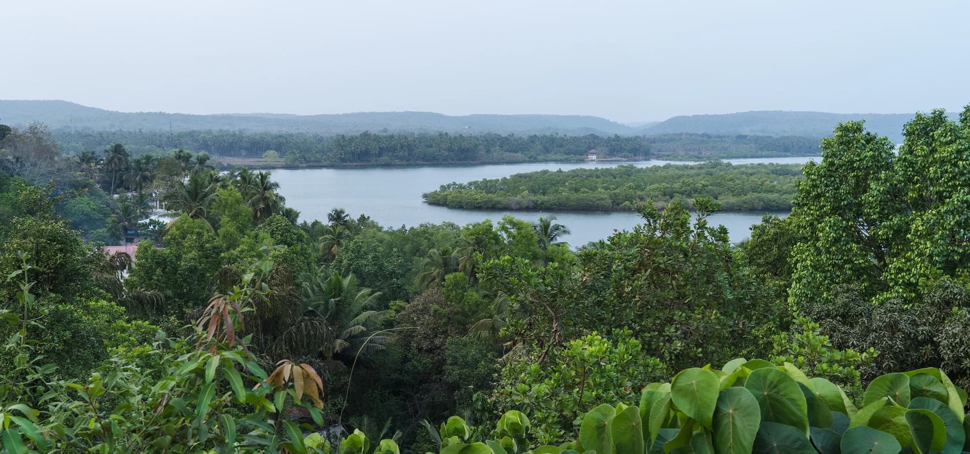 Vista amplia del río Terekhol con islas de manglar, palmerales y colinas bajas arboladas bajo un cielo pálido