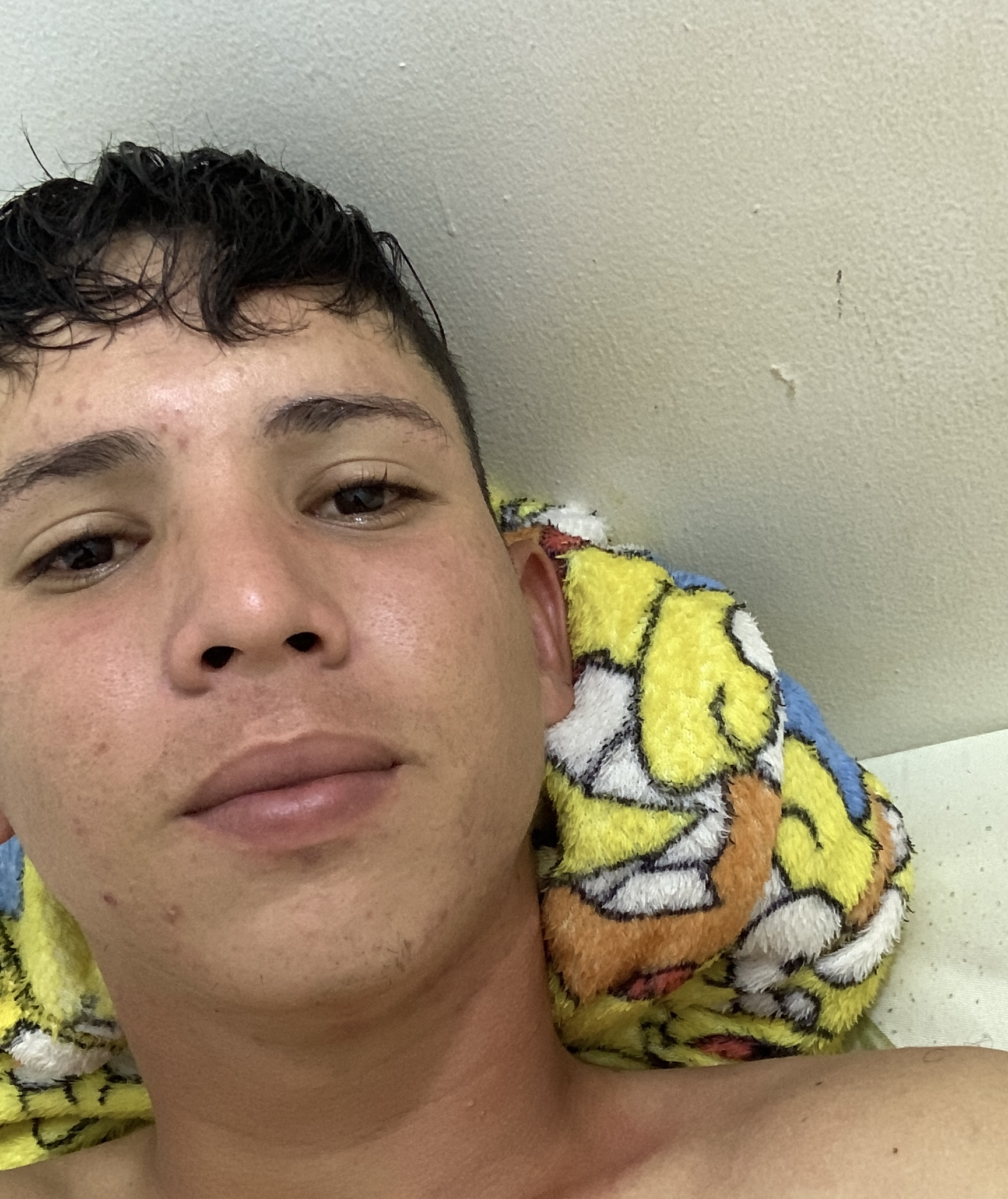 User