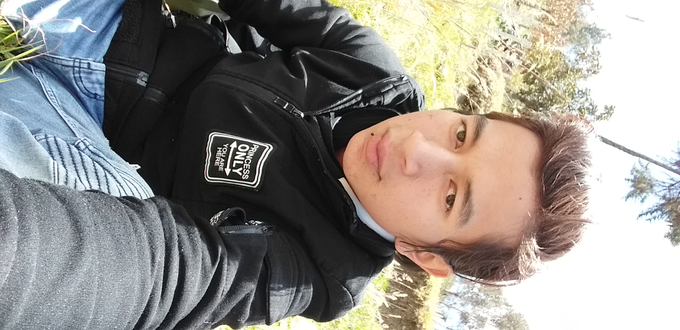 User