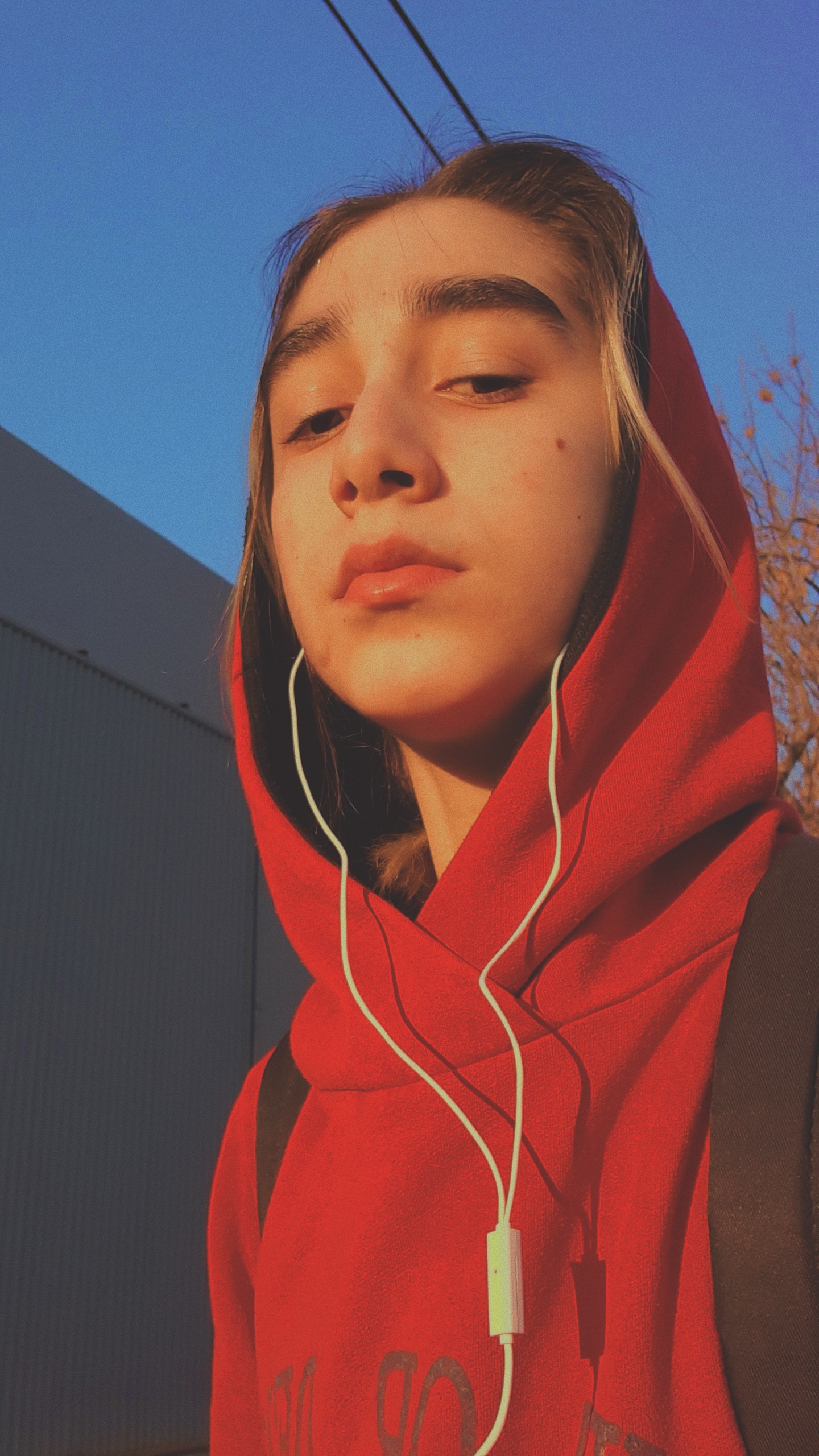 User