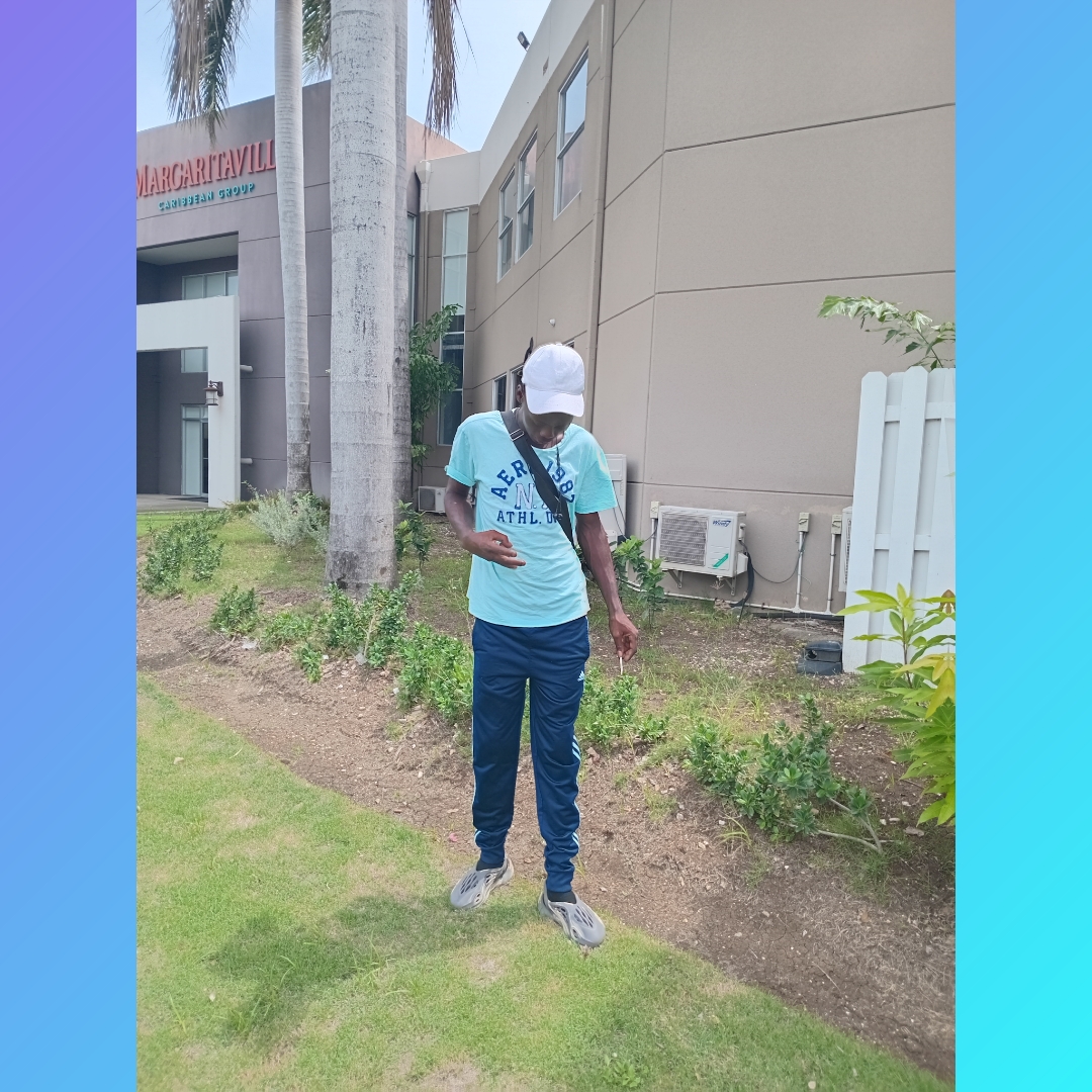 User