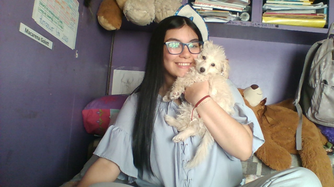 User