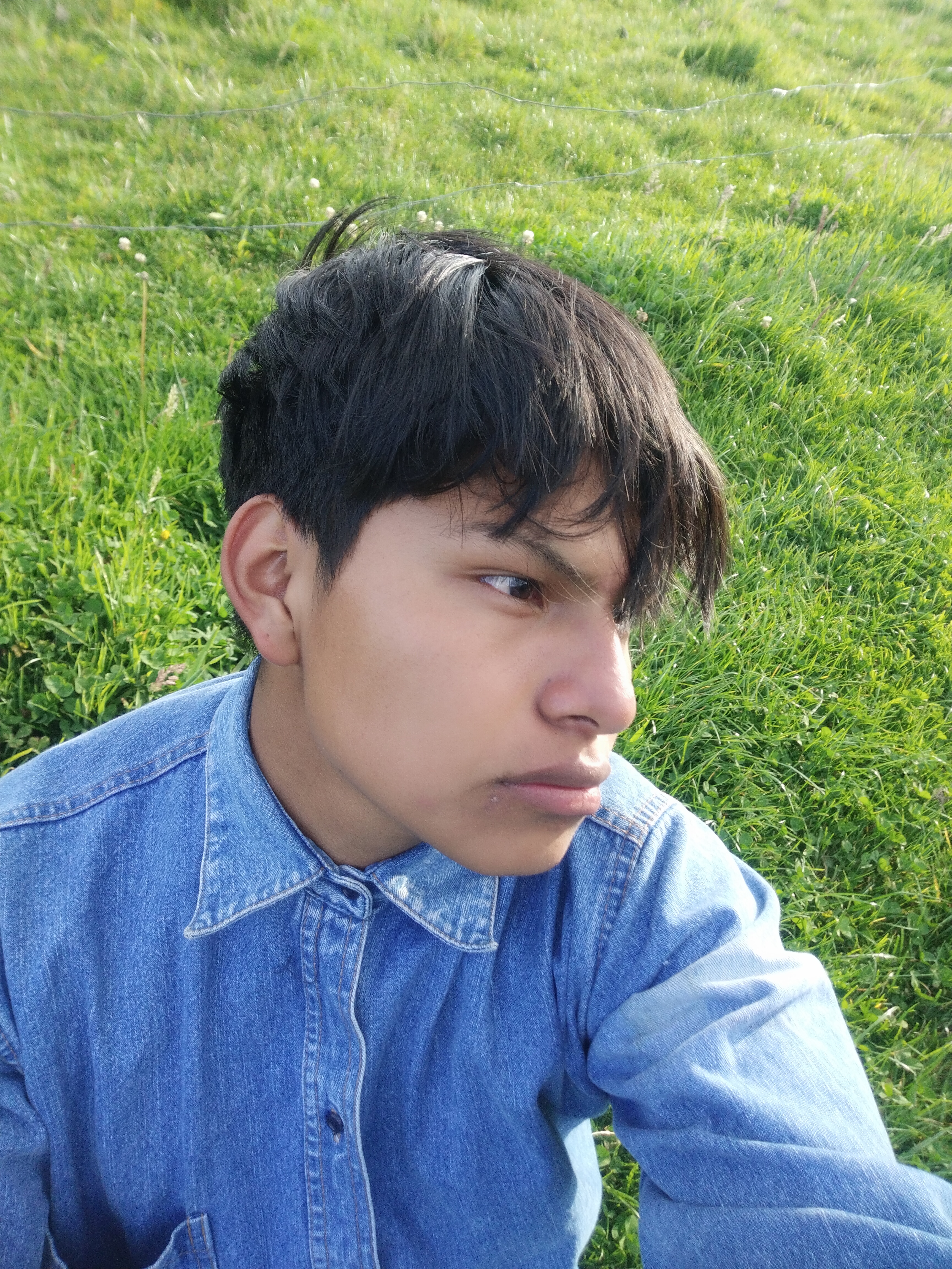 User