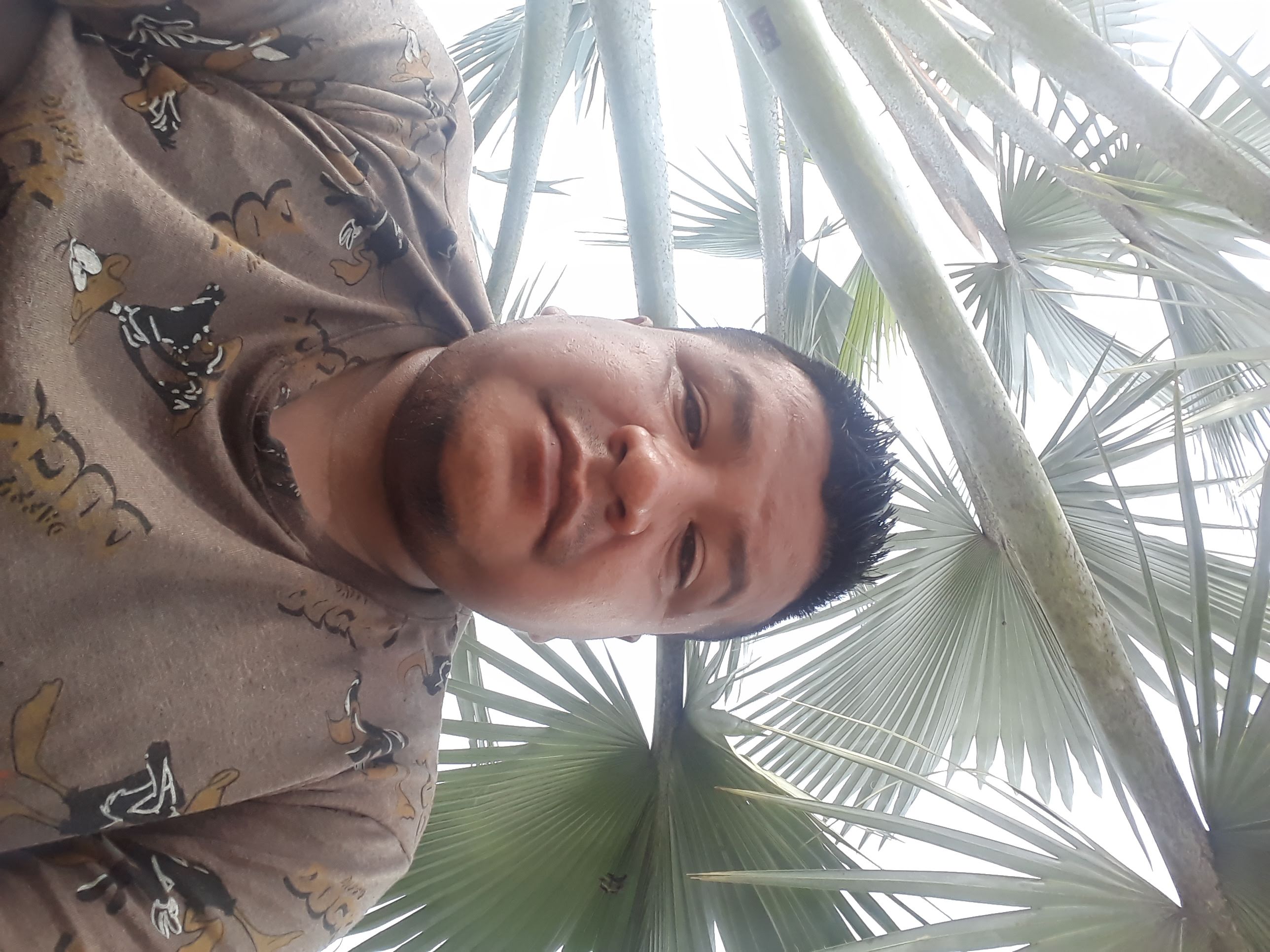 User