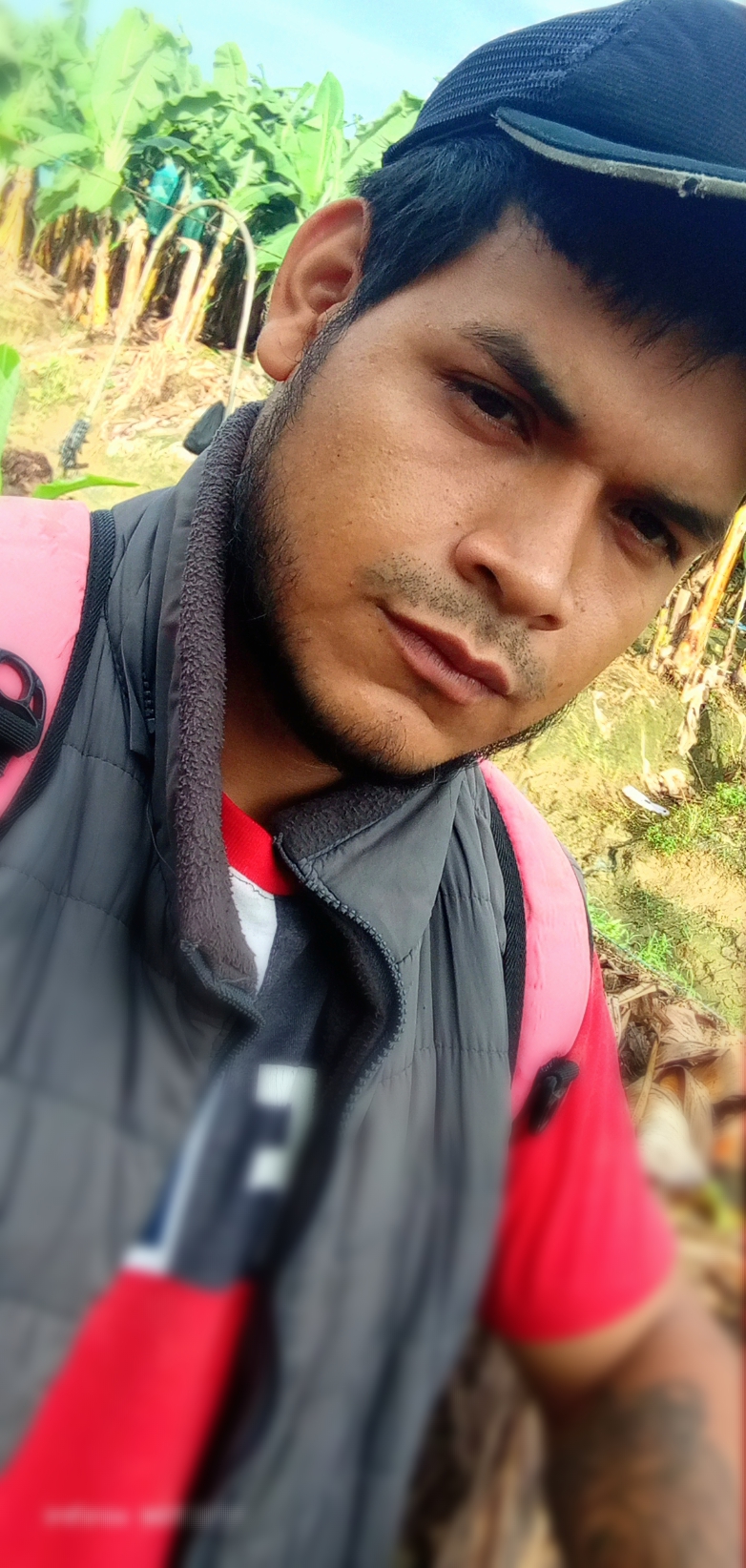 User